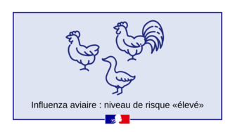 Influenza aviaire : passage au niveau de risque épizootique "Elevé"